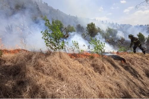 Arden 10 hectáreas de pastizales en el parque Sierra Morelos